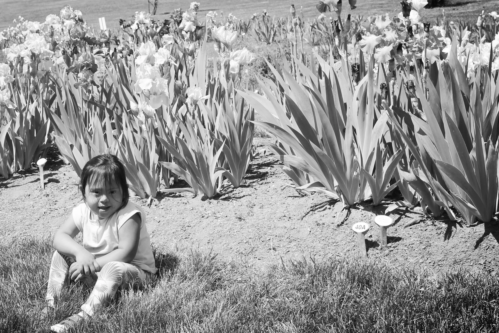 Memorial Day Weekend, 2015 017.JPG