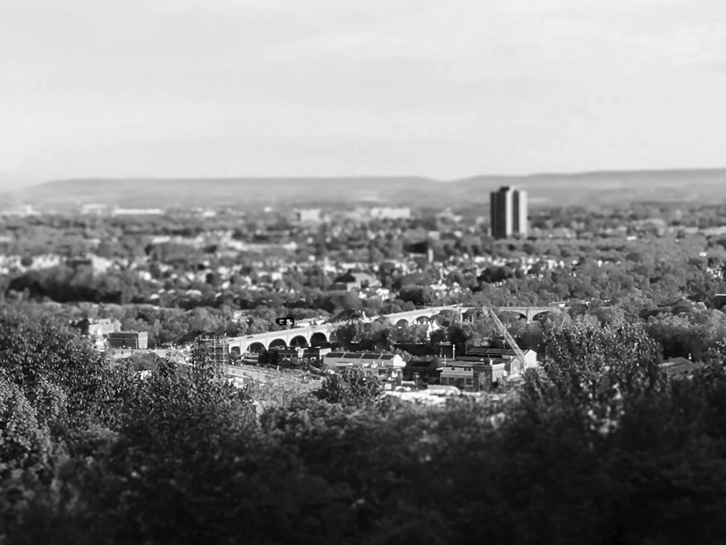 LookoutTiltShift1B&W.jpg