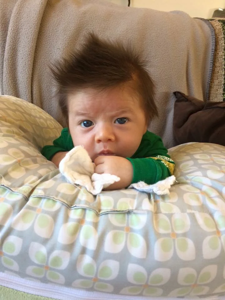 Well, hello there! (Jagger-dude - a few months old)