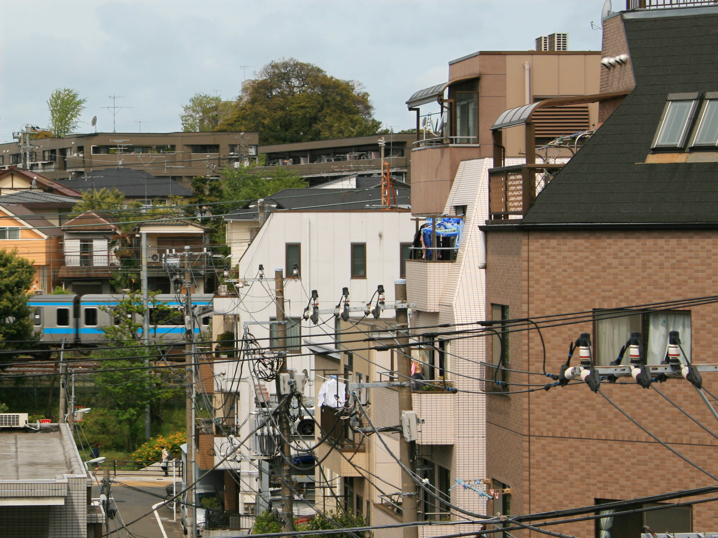 from rooftop2.jpg