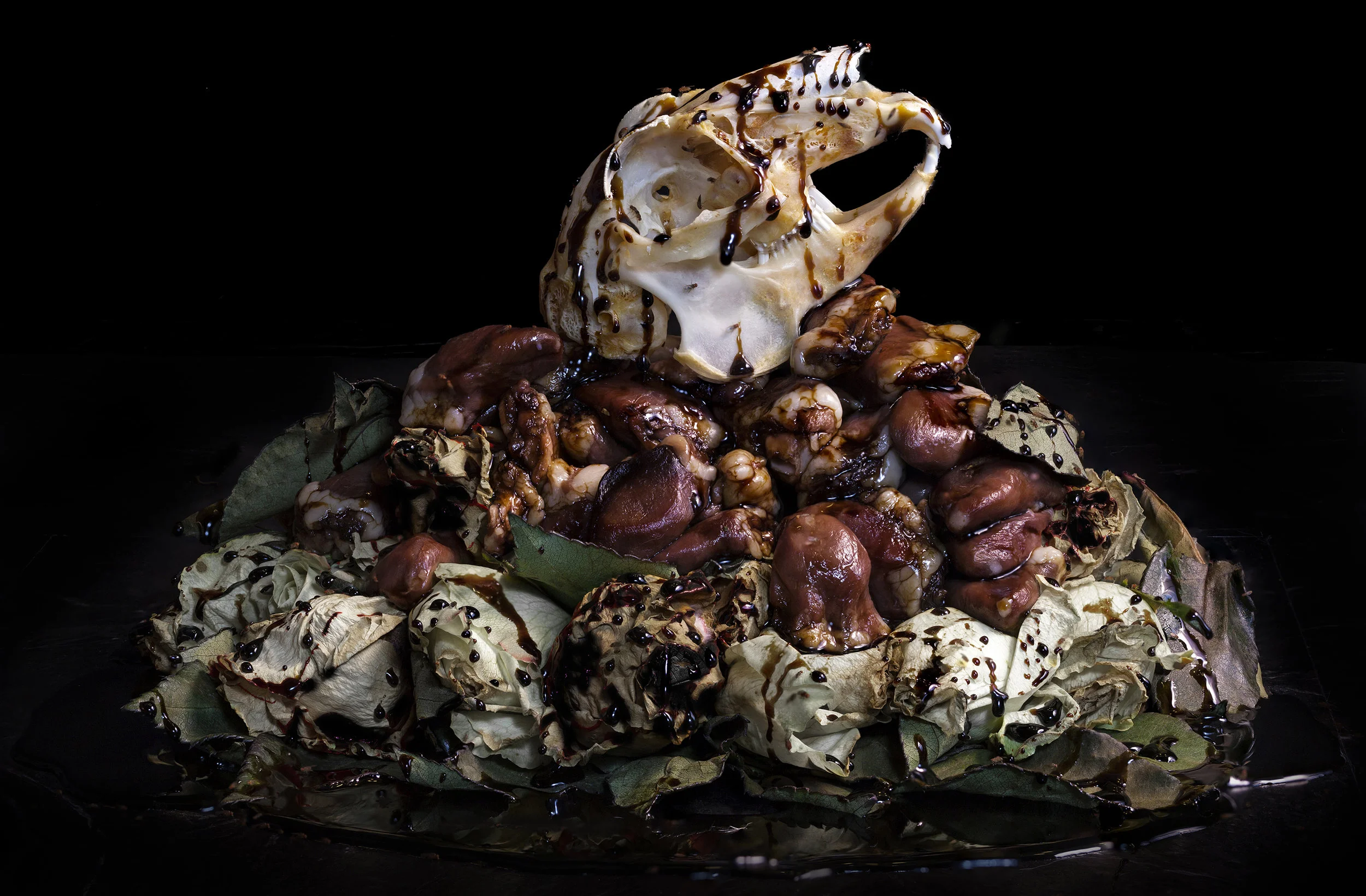 Vanitas – A Brief History