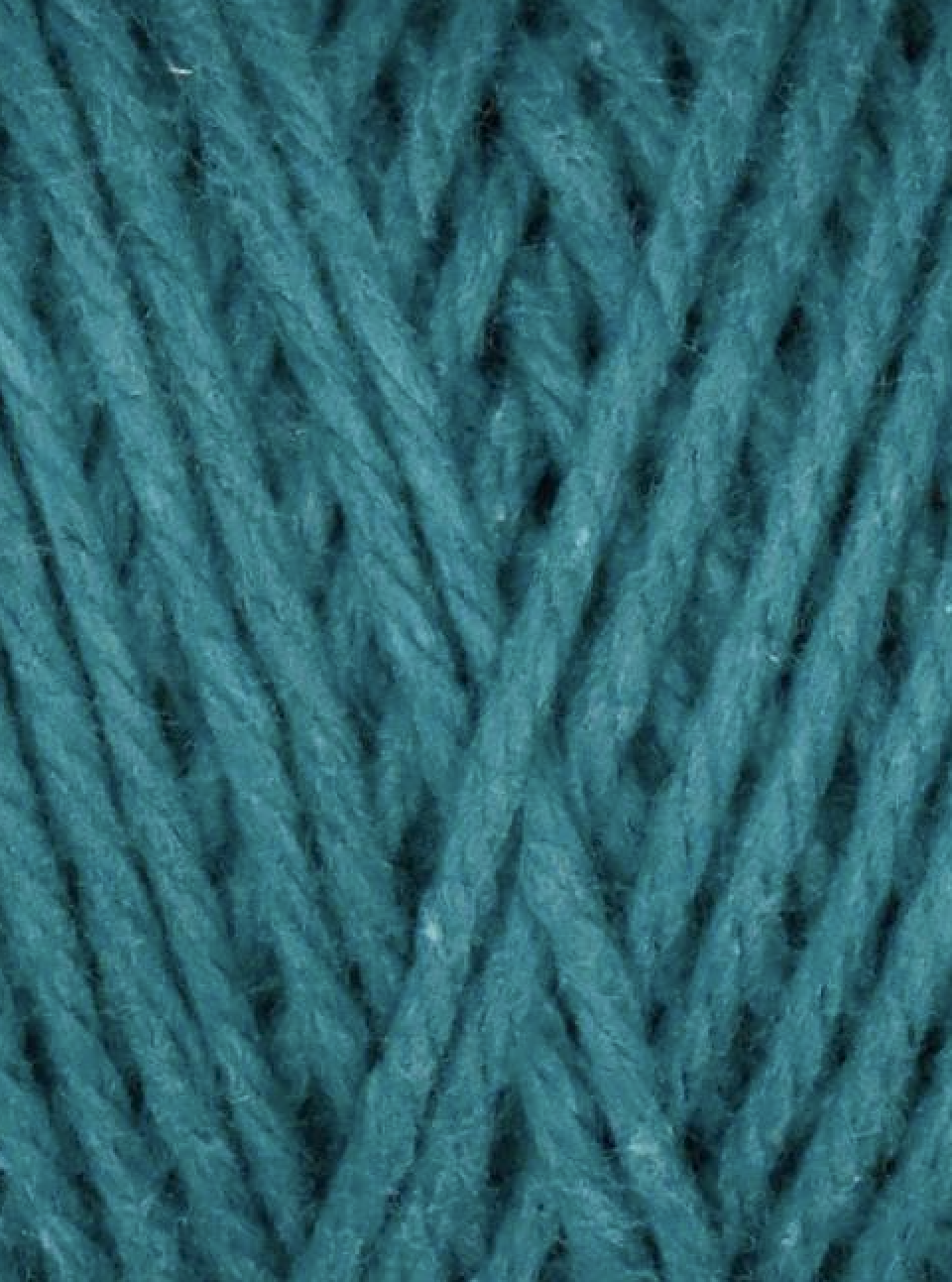 Screenshot 2026-02-20 at 2.37.55 PM.png