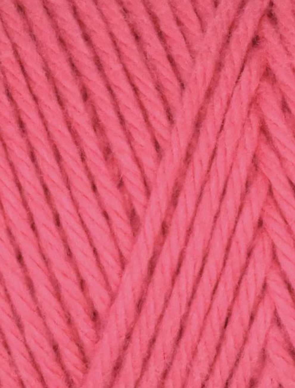 Screenshot 2026-02-20 at 2.41.55 PM.png