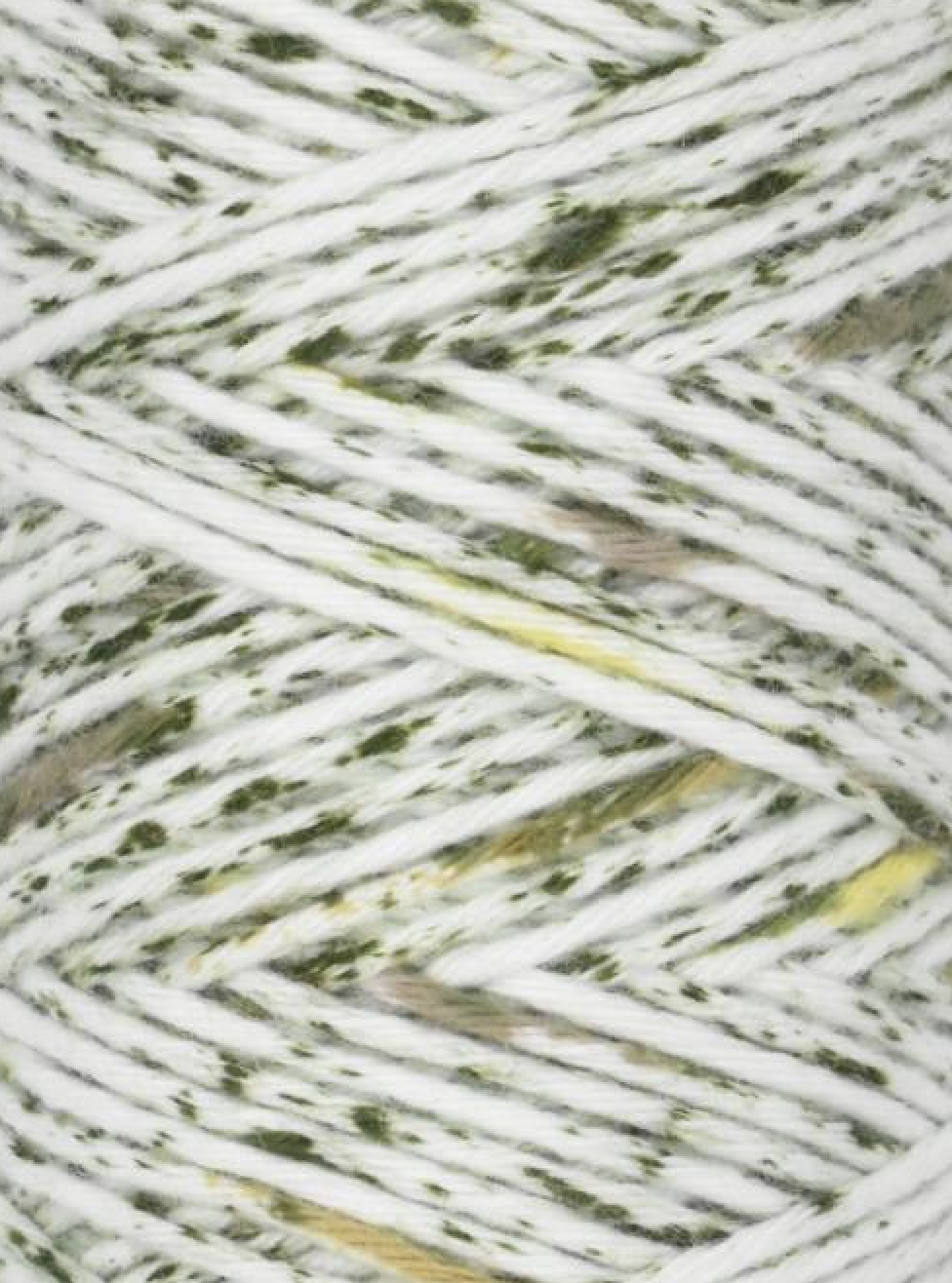 Screenshot 2026-02-20 at 2.50.03 PM.png