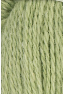 14 Brushed Sage.png