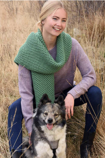 Screenshot 2026-02-18 at 2.54.25 PM.png (Copy)