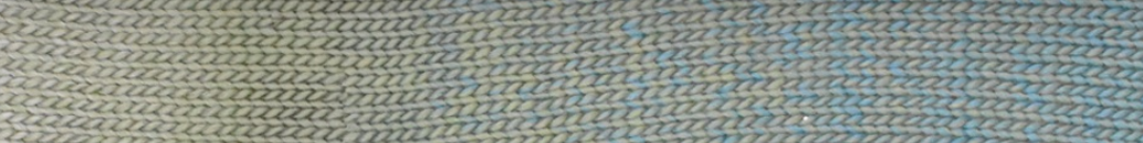 205 Aqua Sage.png