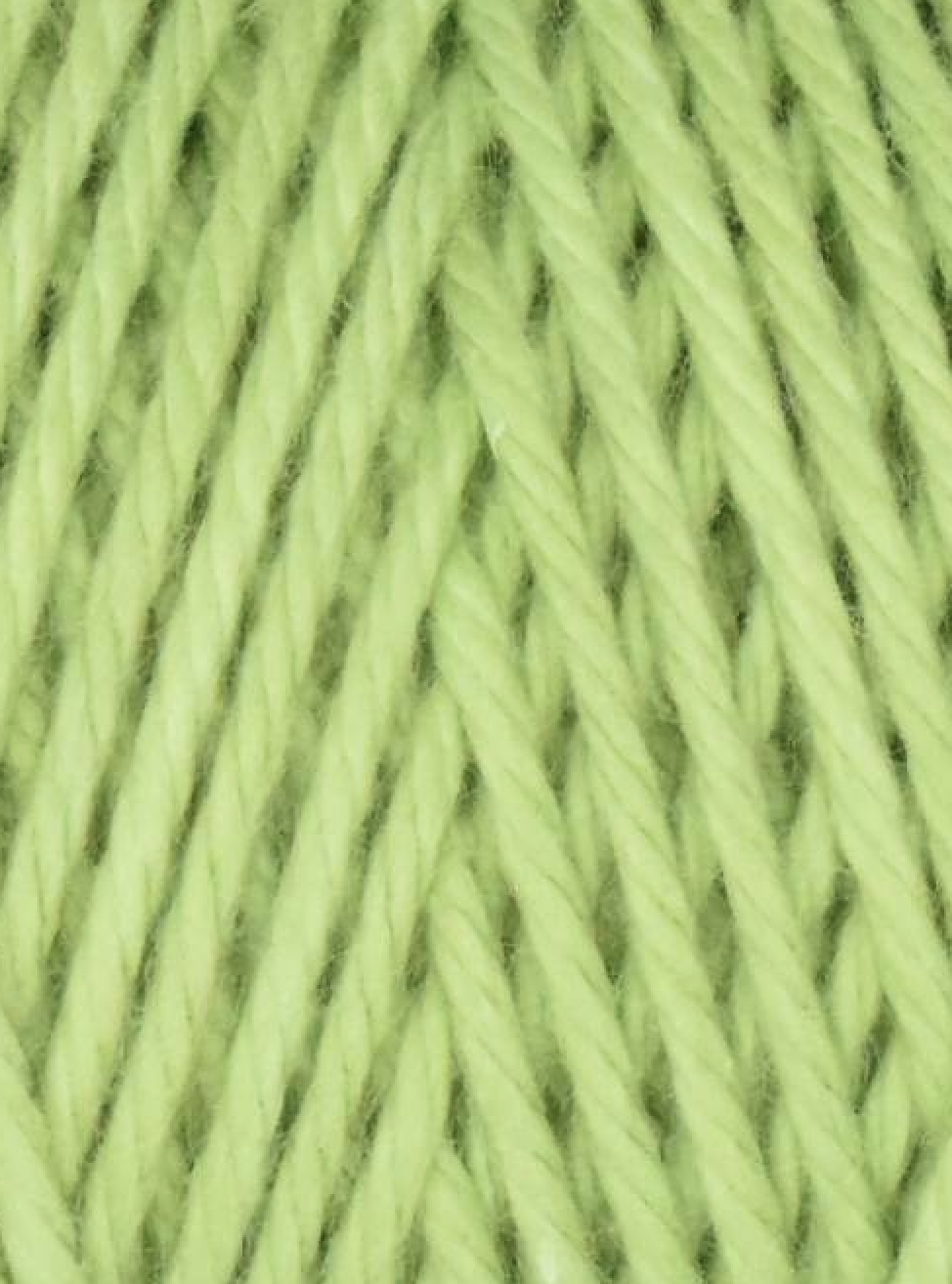 Screenshot 2026-02-20 at 2.40.45 PM.png