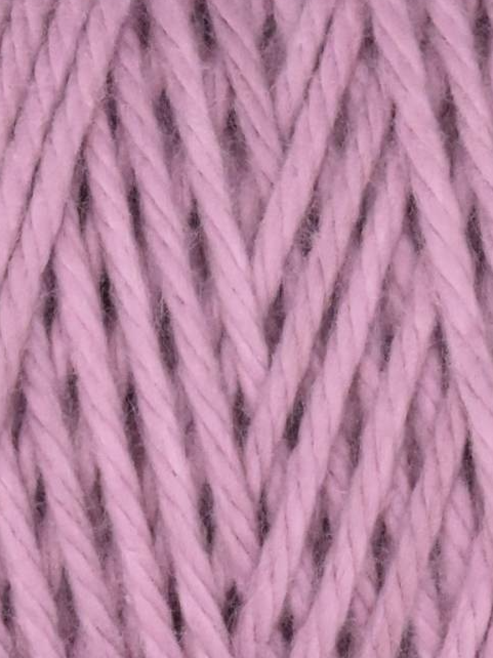 Screenshot 2026-02-20 at 2.40.11 PM.png