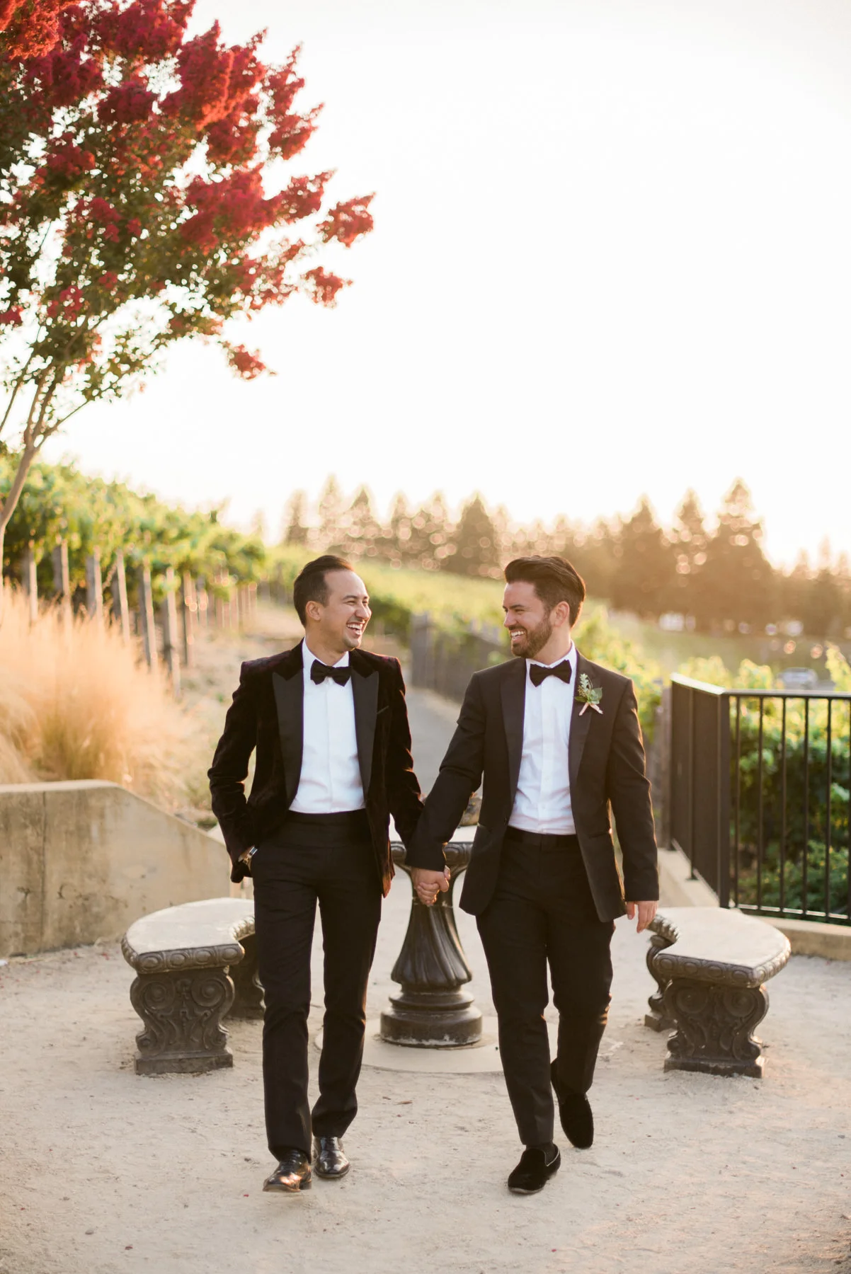 Gay Wedding Napa Valley.jpg