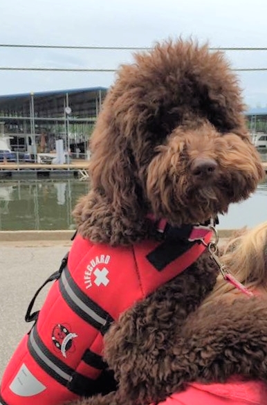 Dock 3 baby Maggie doesn't mind wearing a life jacket