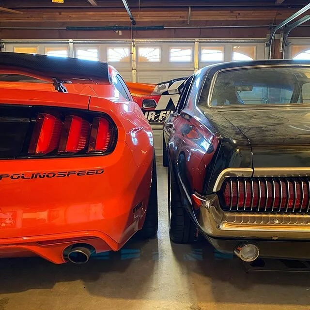 Just hanging out in the garage.
