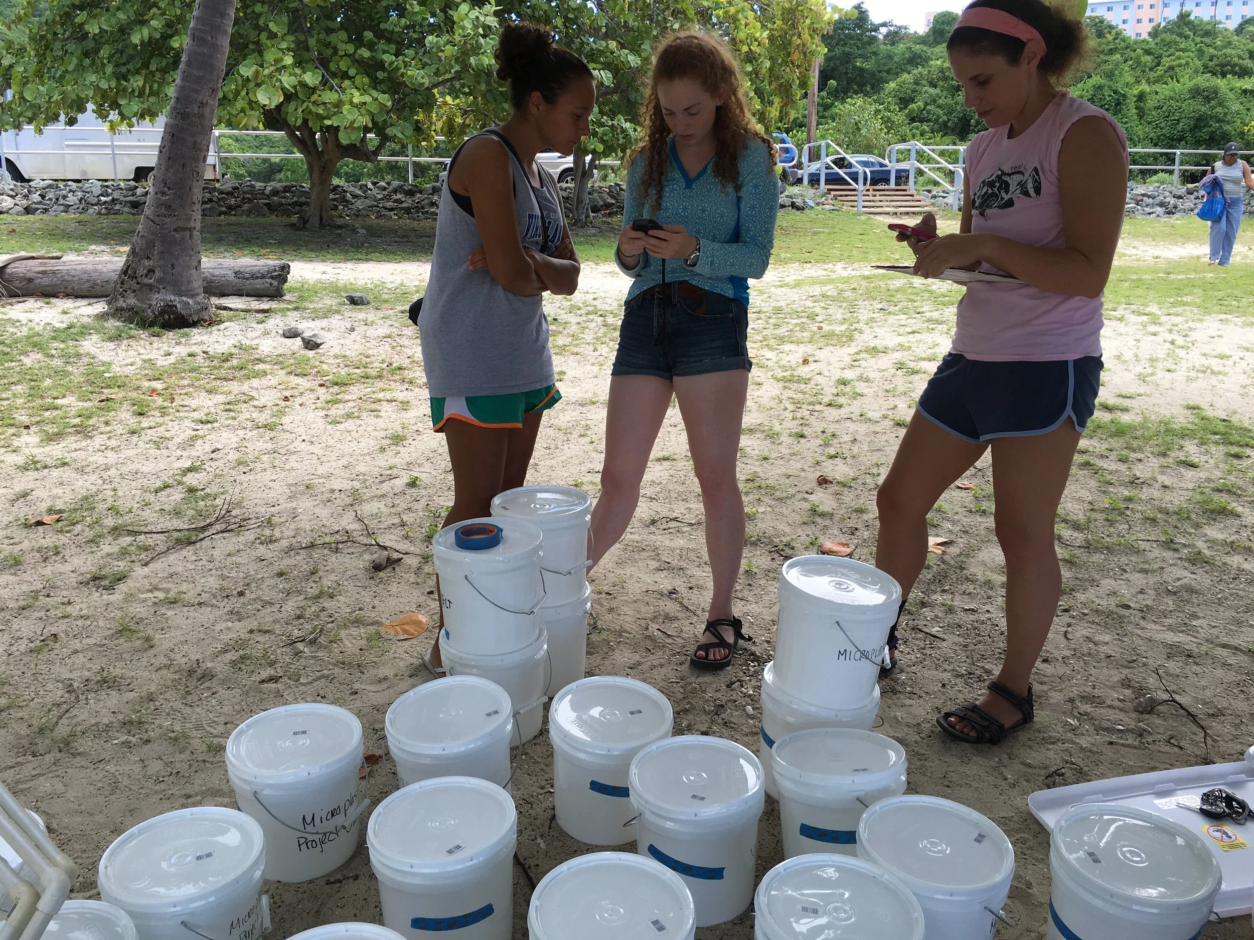 Danie (far right) and members of her team are prepping and organizing for sampling. The buckets are labeled with quadrant and transect number. At center is Allie Durdall, a UVI graduate student on St. Croix with a focus on the Salt Pond ecosystem and left, Mara Duke, who is quantifying zooplankton in Brewers Bay and the microplastics found in the zooplankton samples.