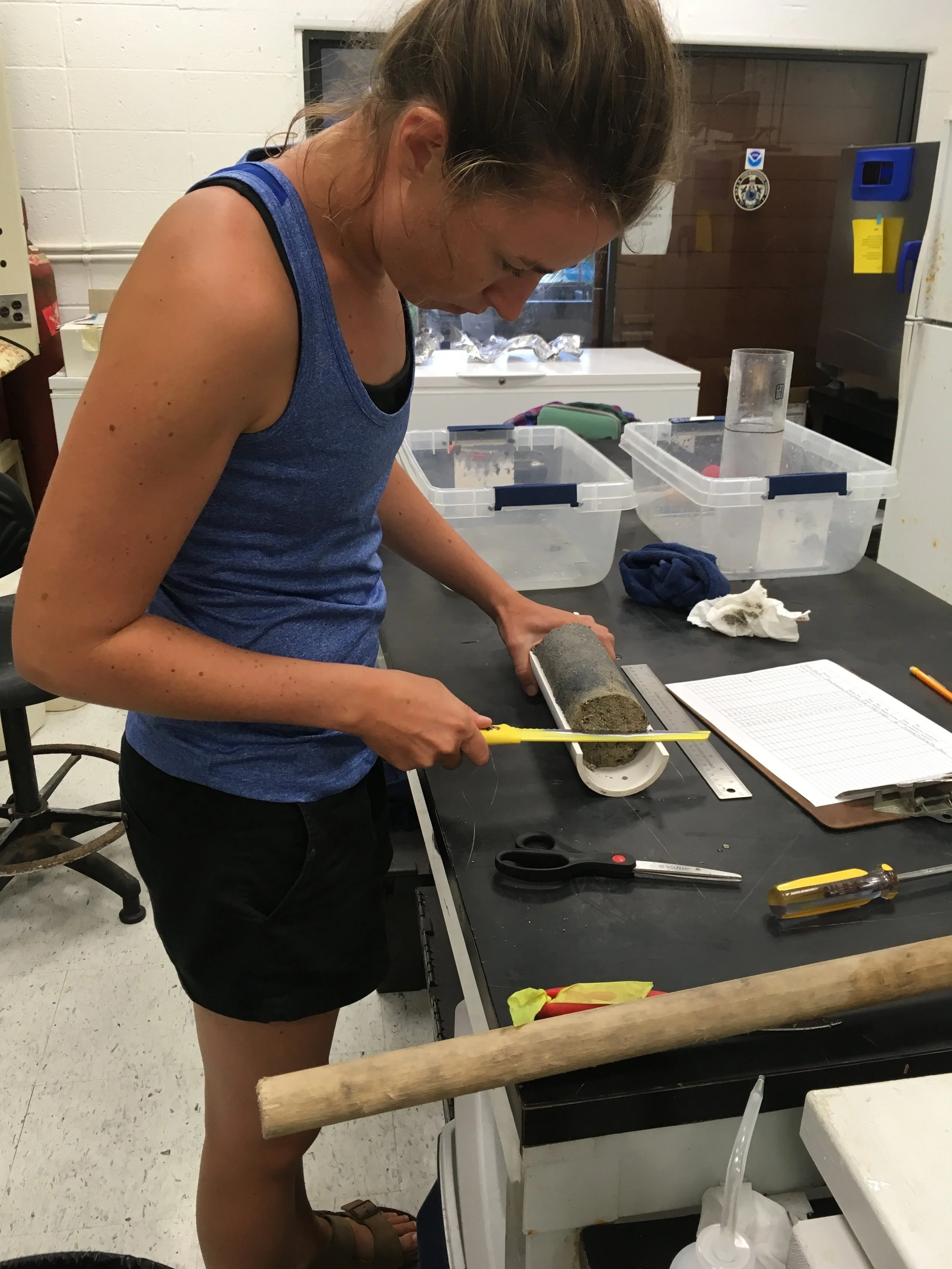 Samples in the lab are processed for analysis.