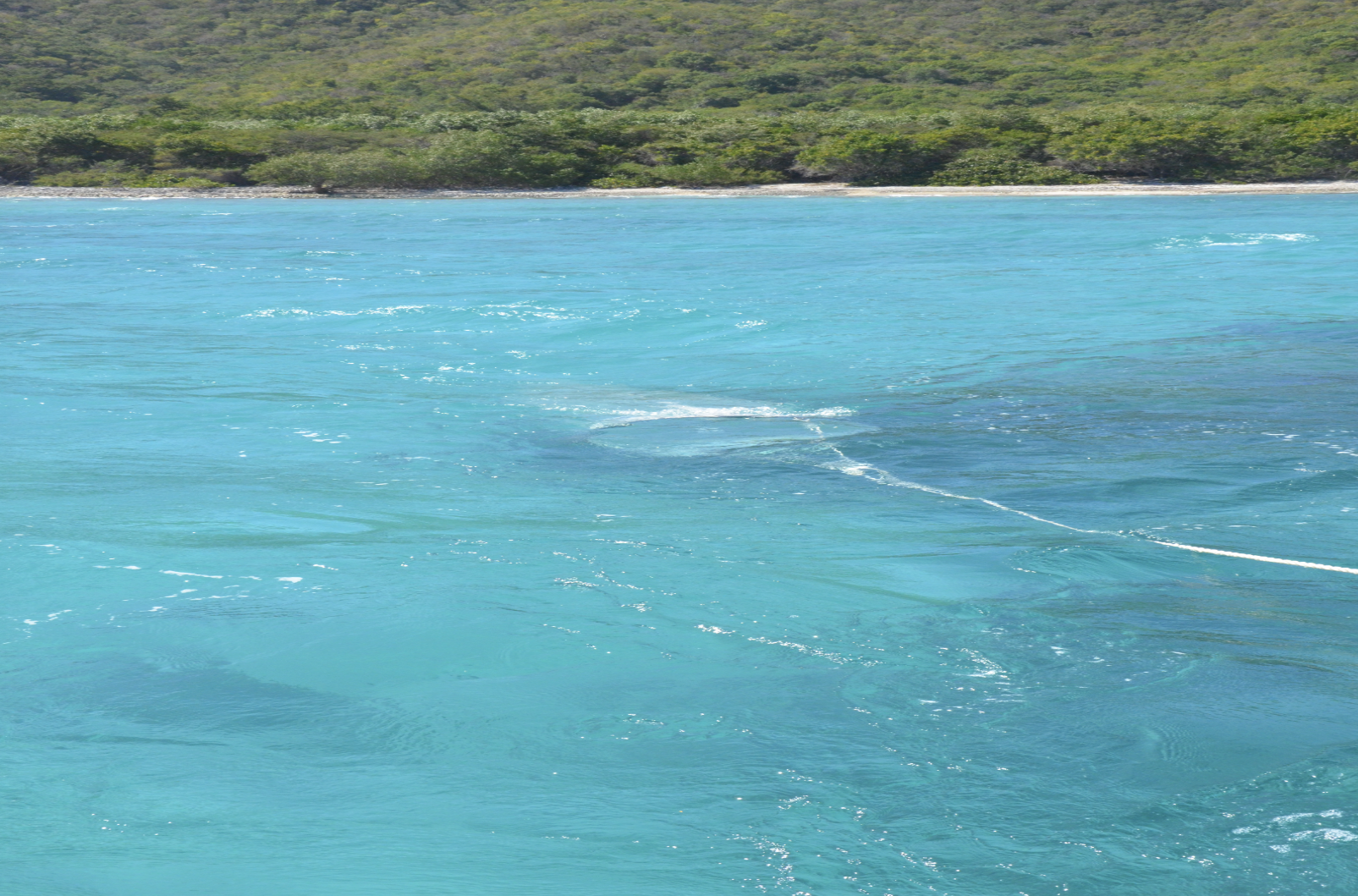 Mara takes monthly samples of zooplankton using a 500 micrometer net which is towed across the water column. The collected samples are sorted and stored for analysis in the lab.