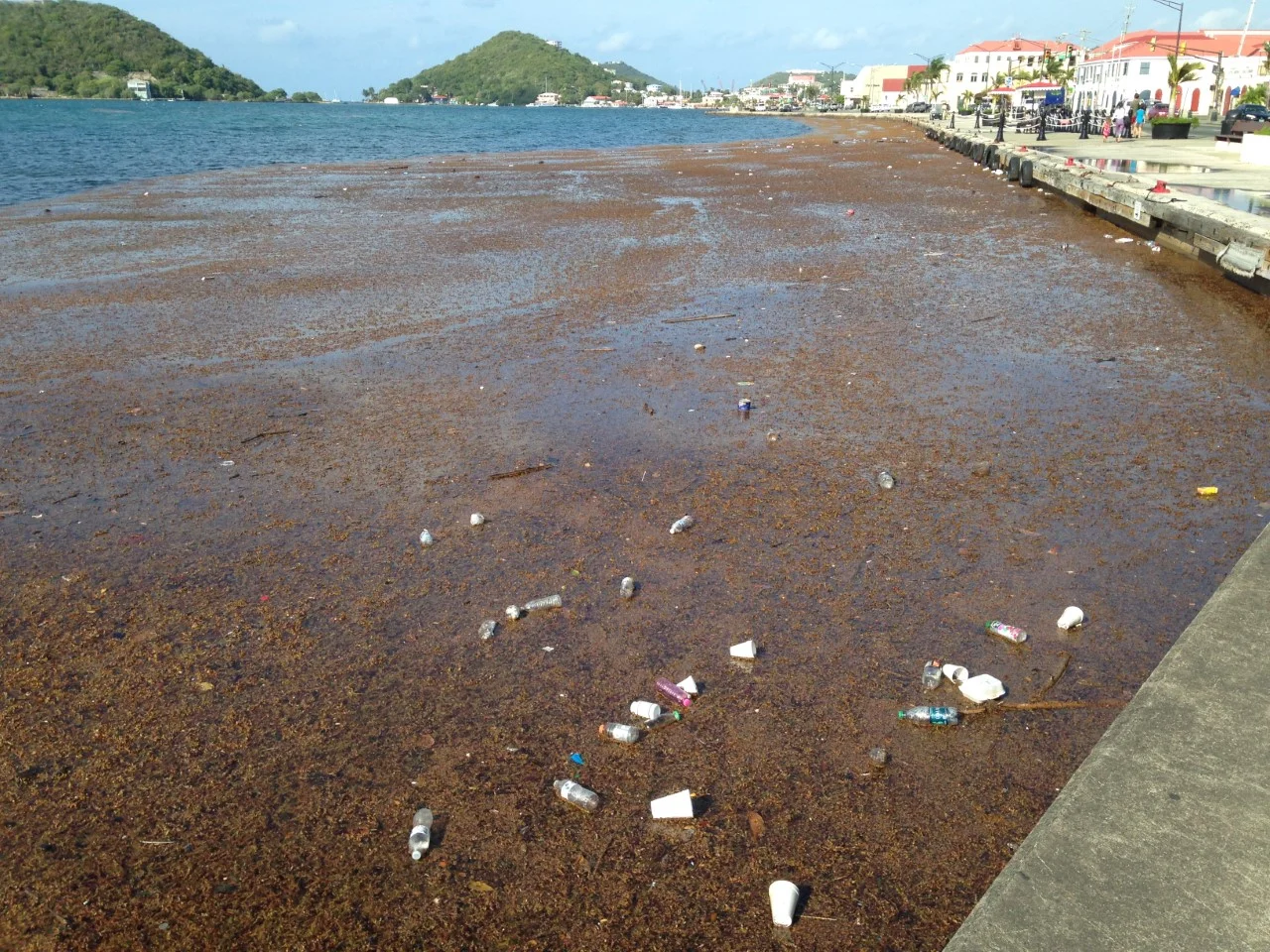 After heavy rainfalls, trash collects along the waterfront in St. Thomas Harbour.