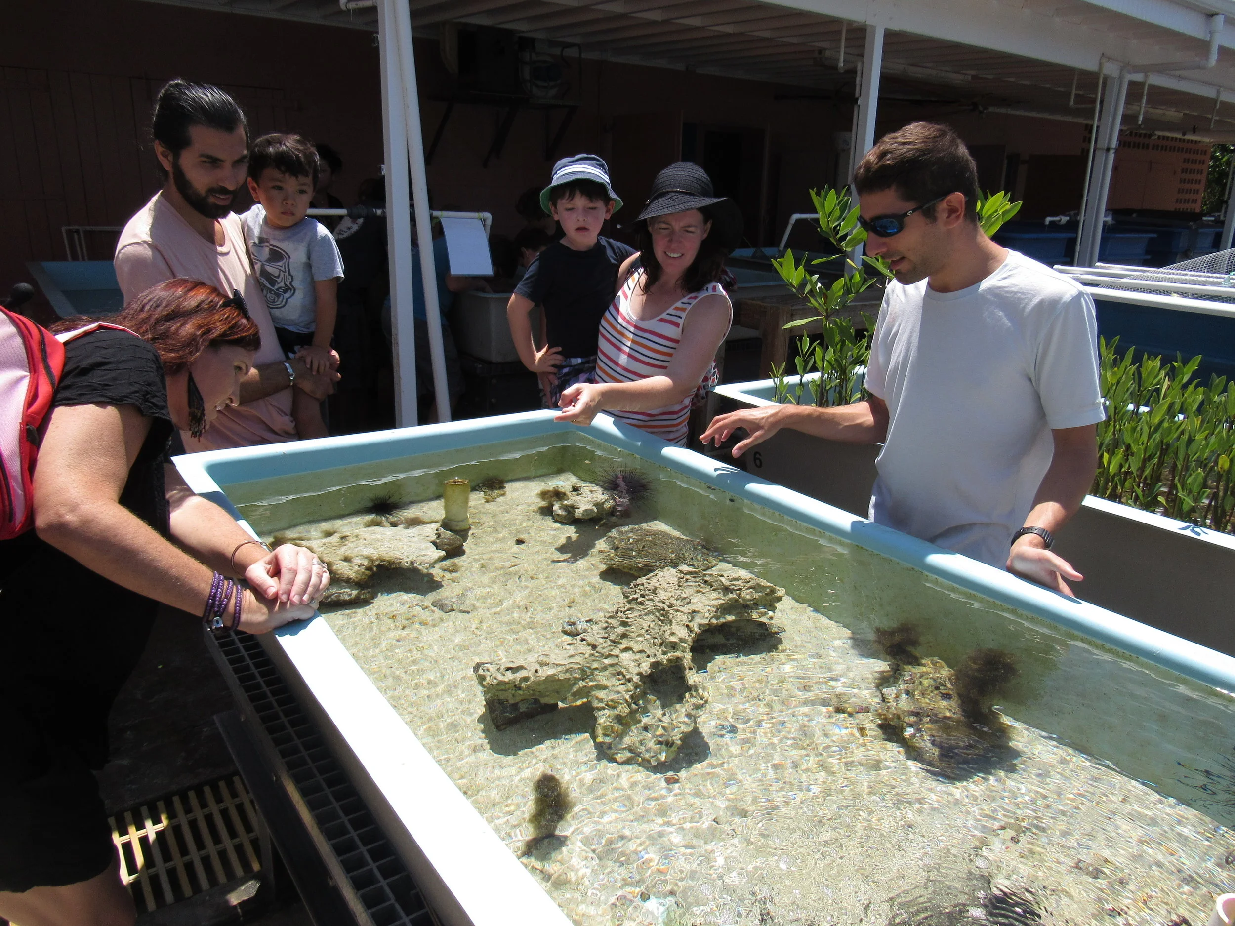 MMES Candidate John Cassell discusses marine life at the touch tank.