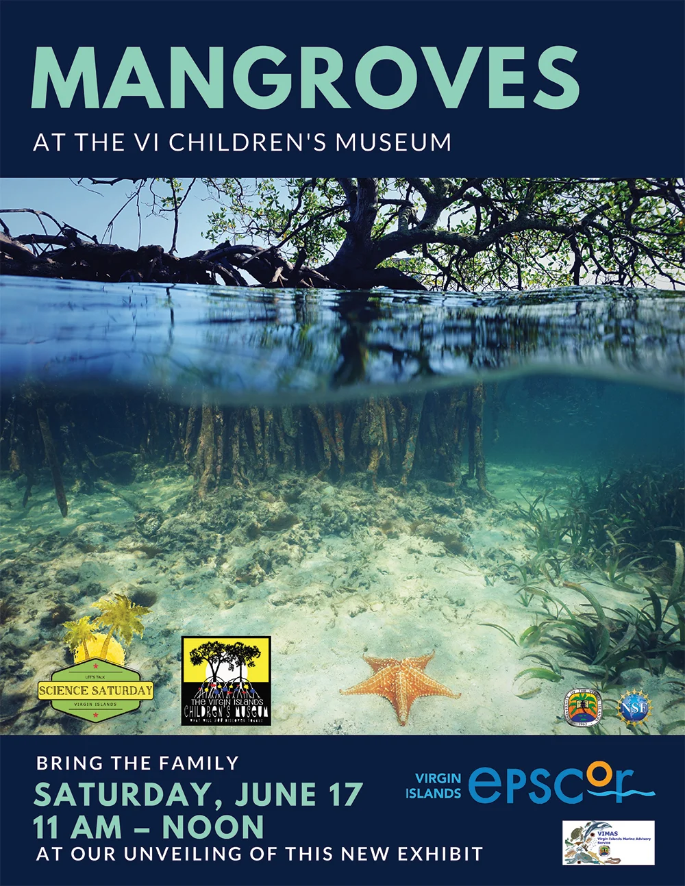 Mangroves Flyer-3.jpg