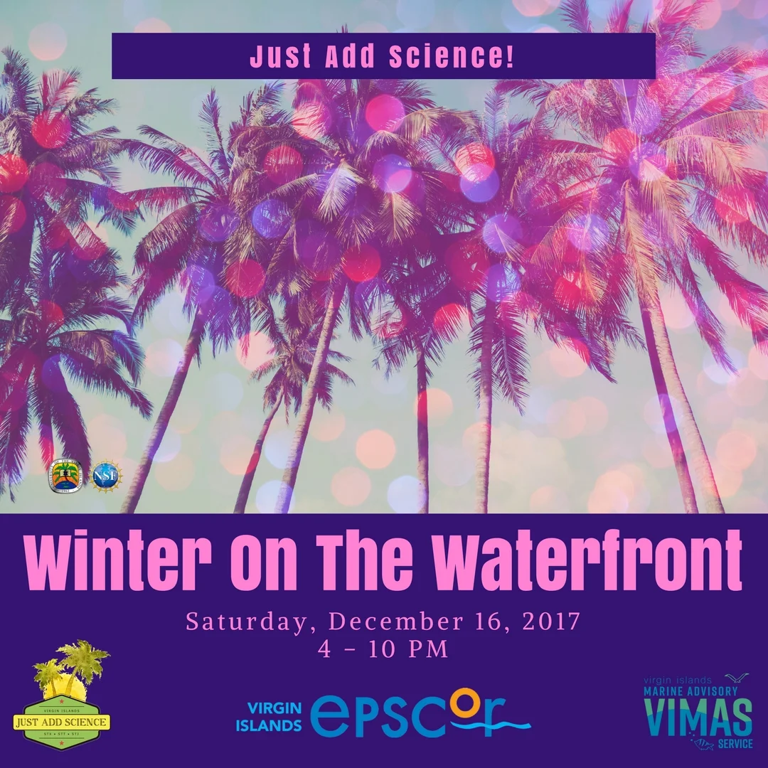 Winter Waterfront.jpg