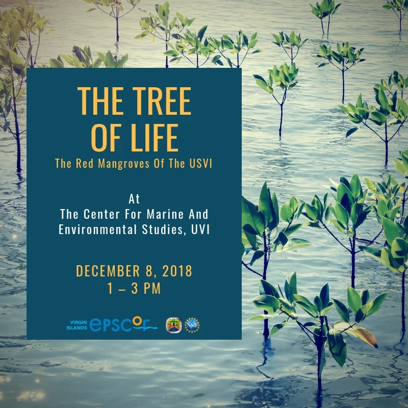 Tree of Life IG.jpg