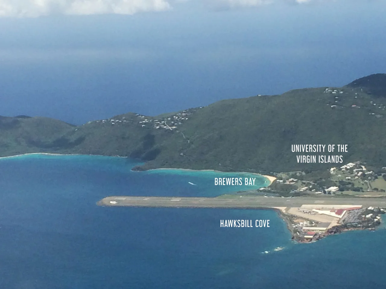 Seen above, Hawksbill Cove and Brewers Bay are a preferred habitat for juvenile turtles. They especially love to hide in the pilings that make up the runway.