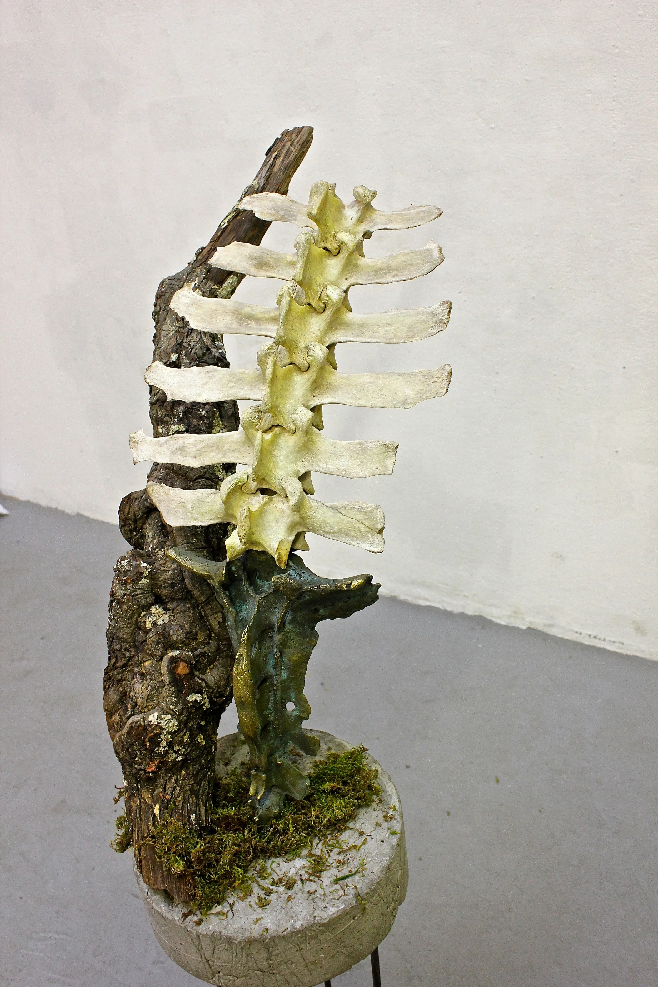 Continuance3.jpg