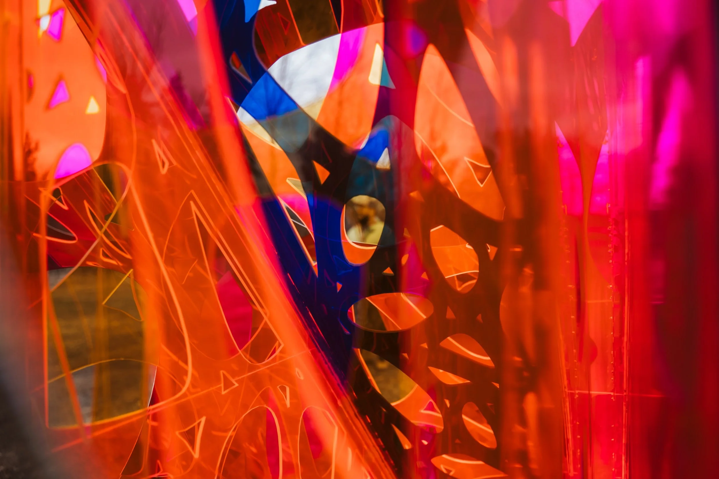 _DSC6778.jpeg