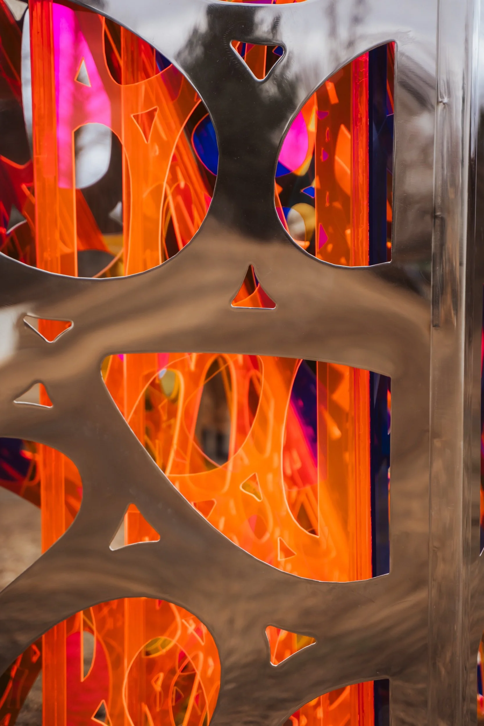 _DSC6773.jpeg