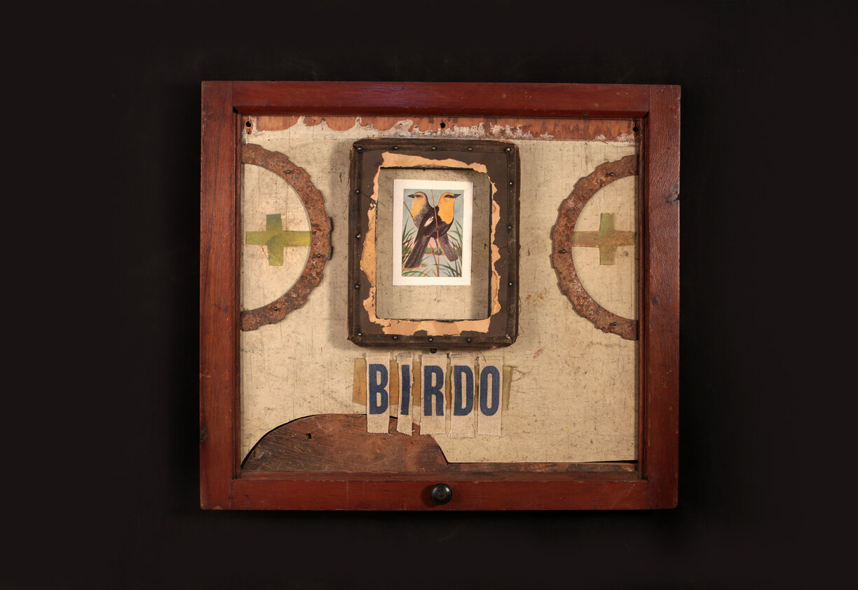 Birdo (II)