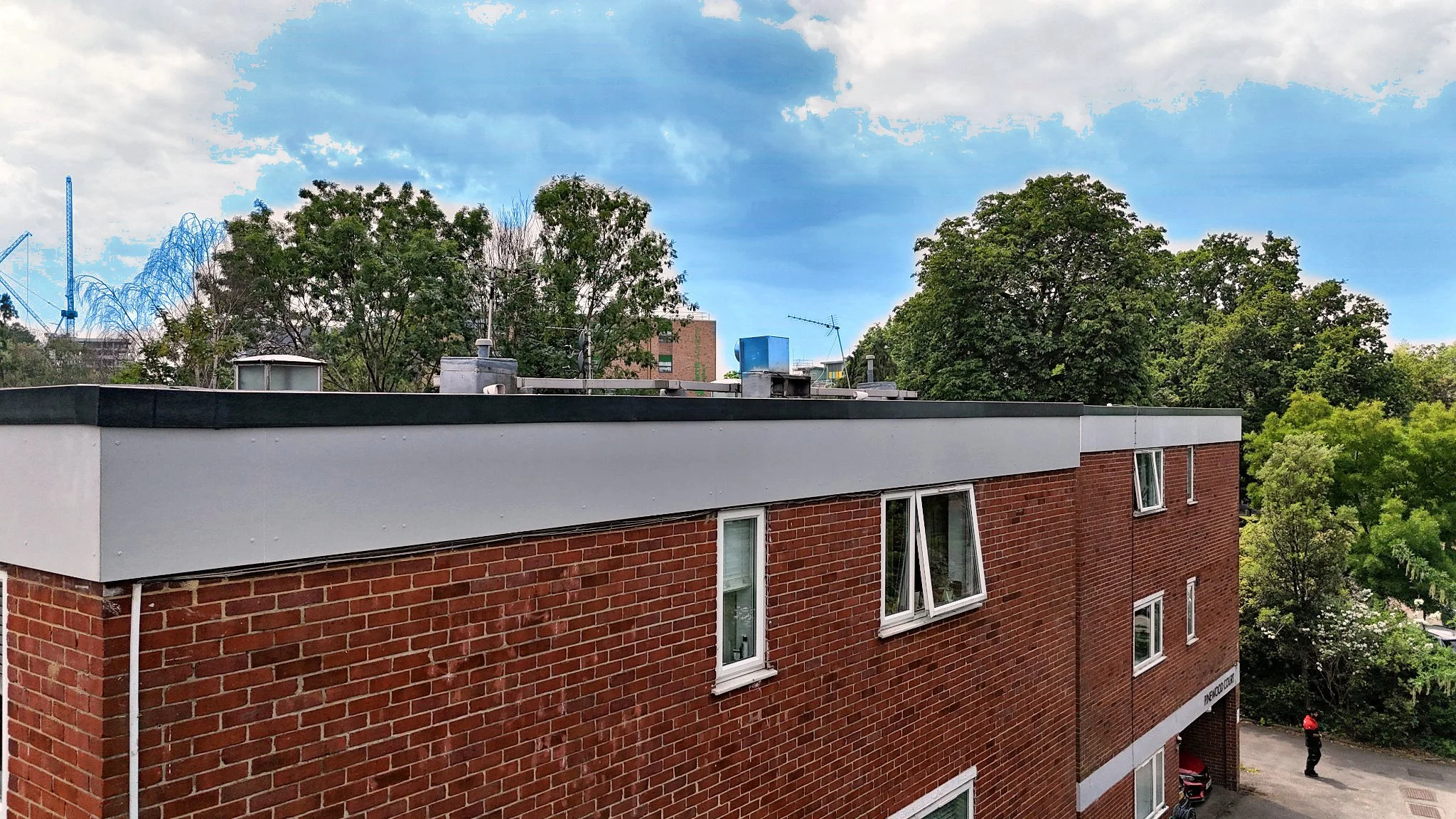 1619 - Pinewood Court - Photo 8.jpg