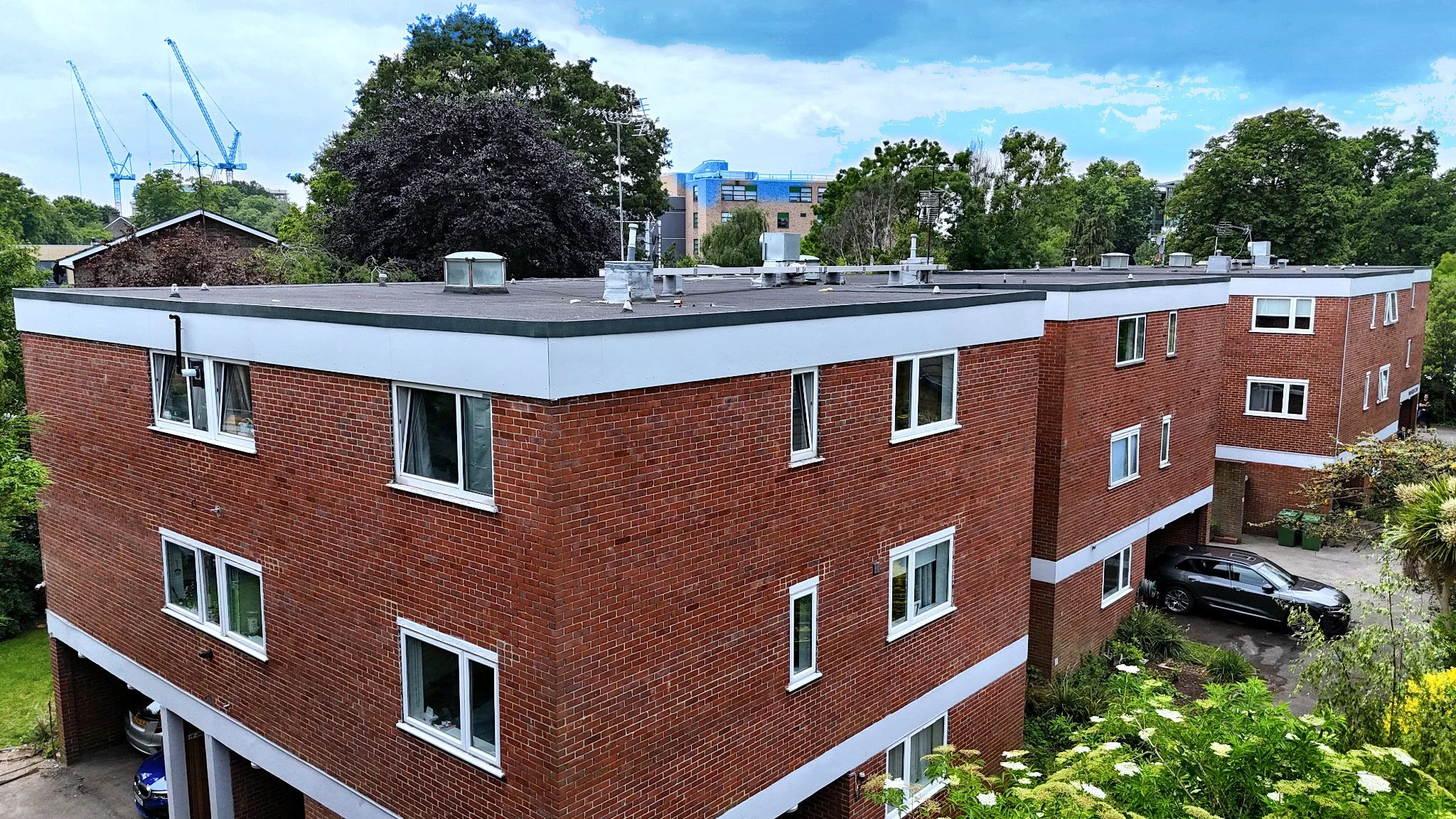 1619 - Pinewood Court - Photo 19.jpg