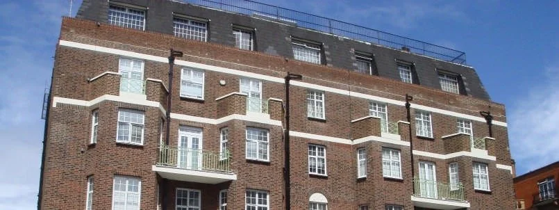 image3.jpg
