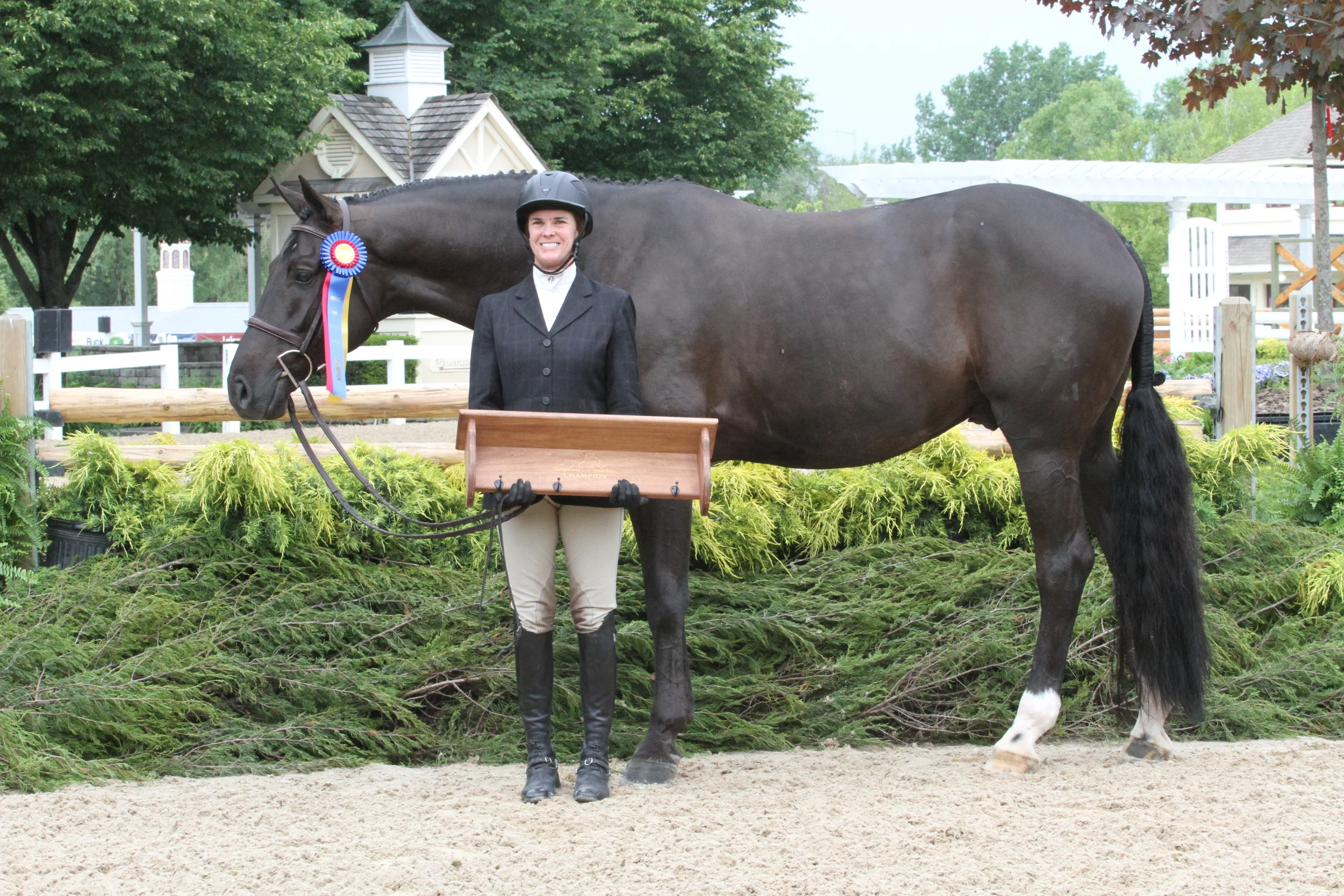 $2,500 Green W orking Hunter Champion Covert owned by Elizabeth Nestor and ridden by Winn Alden “Covert hasn’t done a whole lot year, so he’s starting to get stronger. He’s getting better every show. He gave me everything he had, and he was tired. But he’s really easy, never spooks at the jumps. I can always trust him to try hard.” Winn Alden.