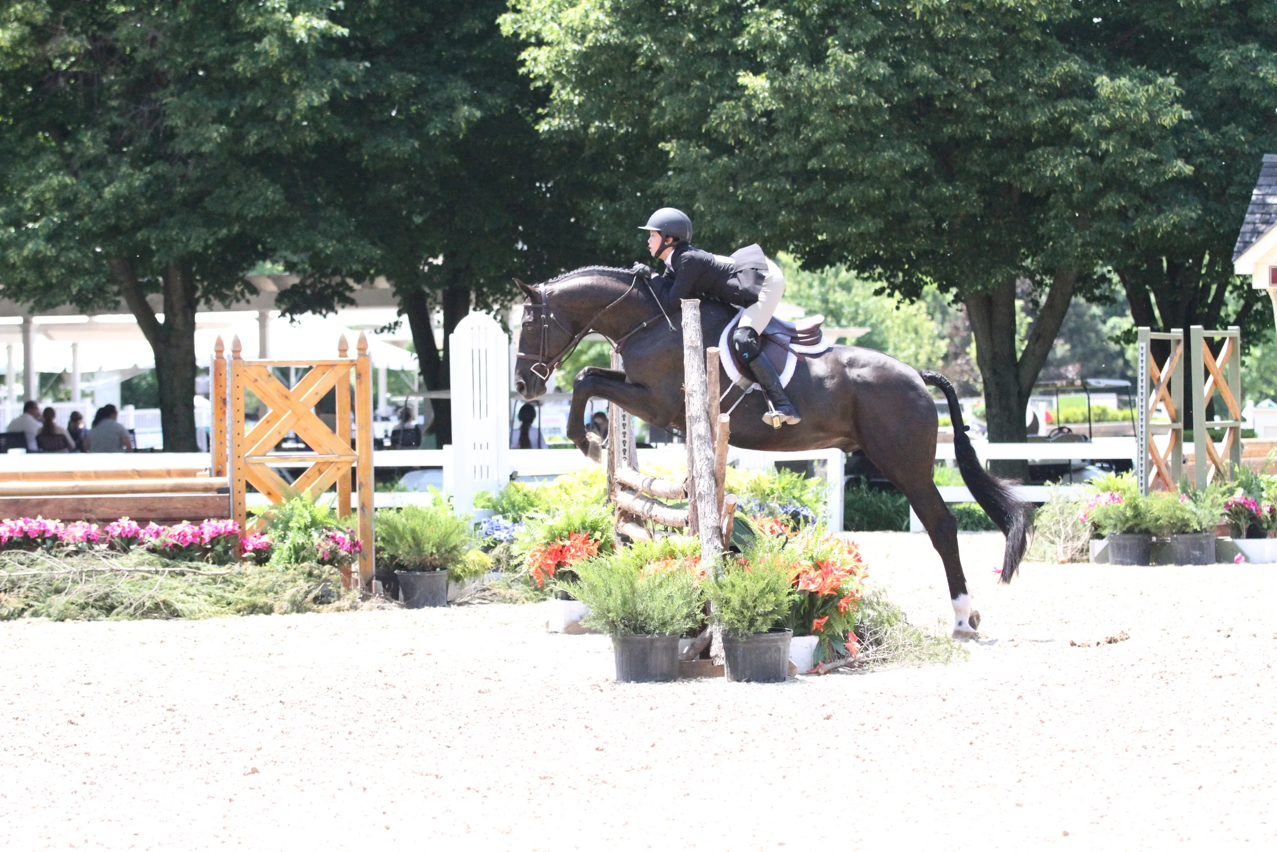 Junior Hunter 3’3 Covert owned and ridden by Elizabeth Nestor Covert and Elizabeth Nestor, from St. Louis, Missouri, swept the junior hunter division with wins in the over fences, hunter handy and under saddle classes. “He went really well. I had an accident in January and this was my first time back in the 3’3s so it was a really good confidence booster. He’s really young, but he takes care of me in there. He’s the best hors