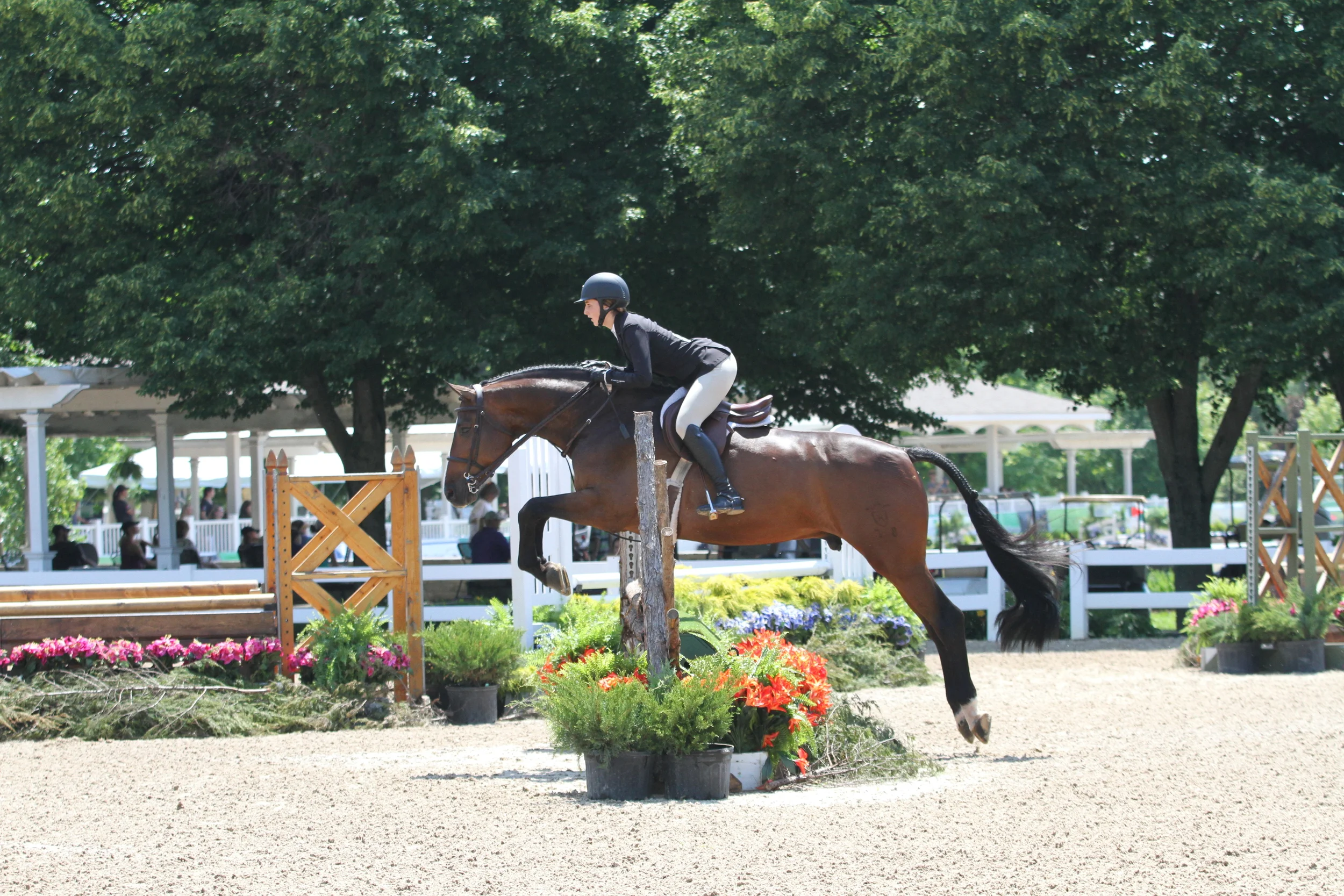 Marshall & Sterling Junior/Amateur Horsemanship Medal Samantha Wolf piloted Classic Boy, owned by Cayley Boyd to a first place finsh in the Marshall & Sterling Junior/Amateur Horsemanship Meda