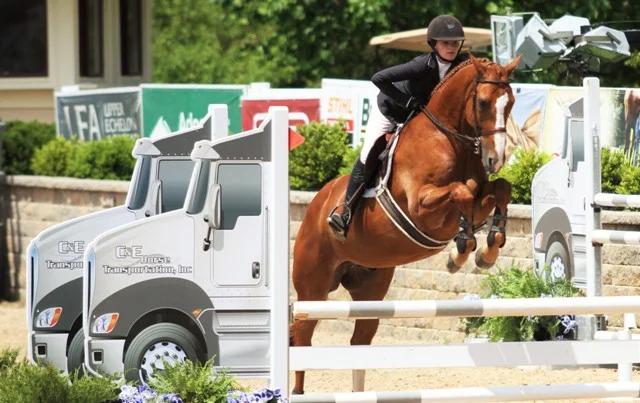 USEF Talent Search Medal Giavanna Rinaldi and Werner owned by Abigail Vincent