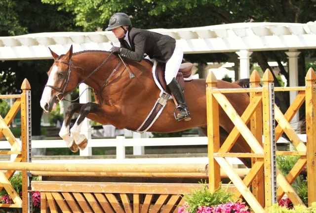 $1000 Amateur Adult Hunter 36-49 Call the Shots owned and ridden by Christie Rugh-Bileddo