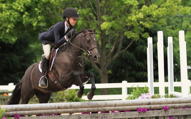 Small Pony Division Champion Benlea Mizzou owned and ridden by Olivia Markman