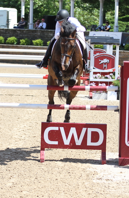 Liz Atkins and Niro 8