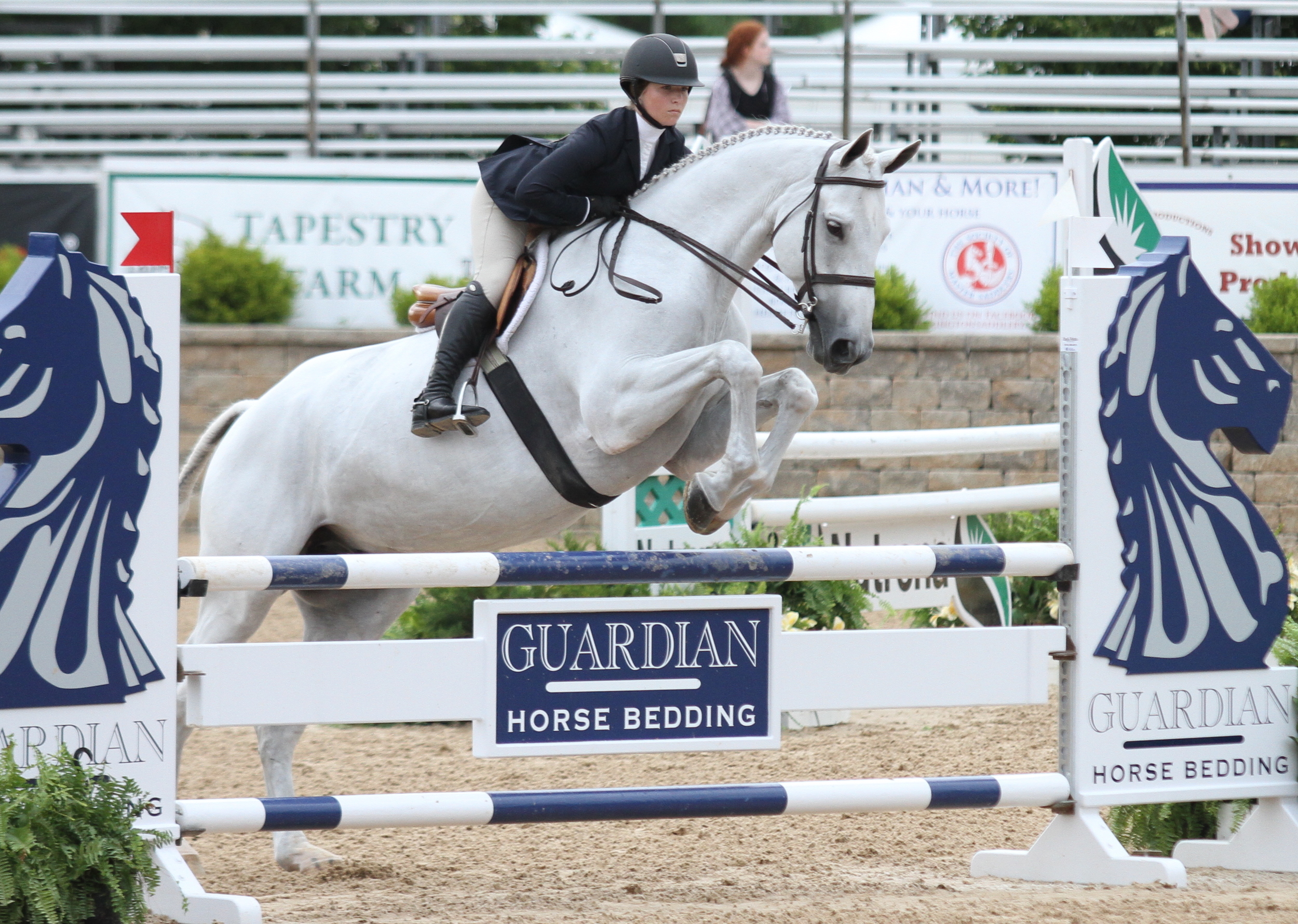 Alexandra Pielet won the USEF Talent Search aboard Ice, owned by Co-Pielet LLC