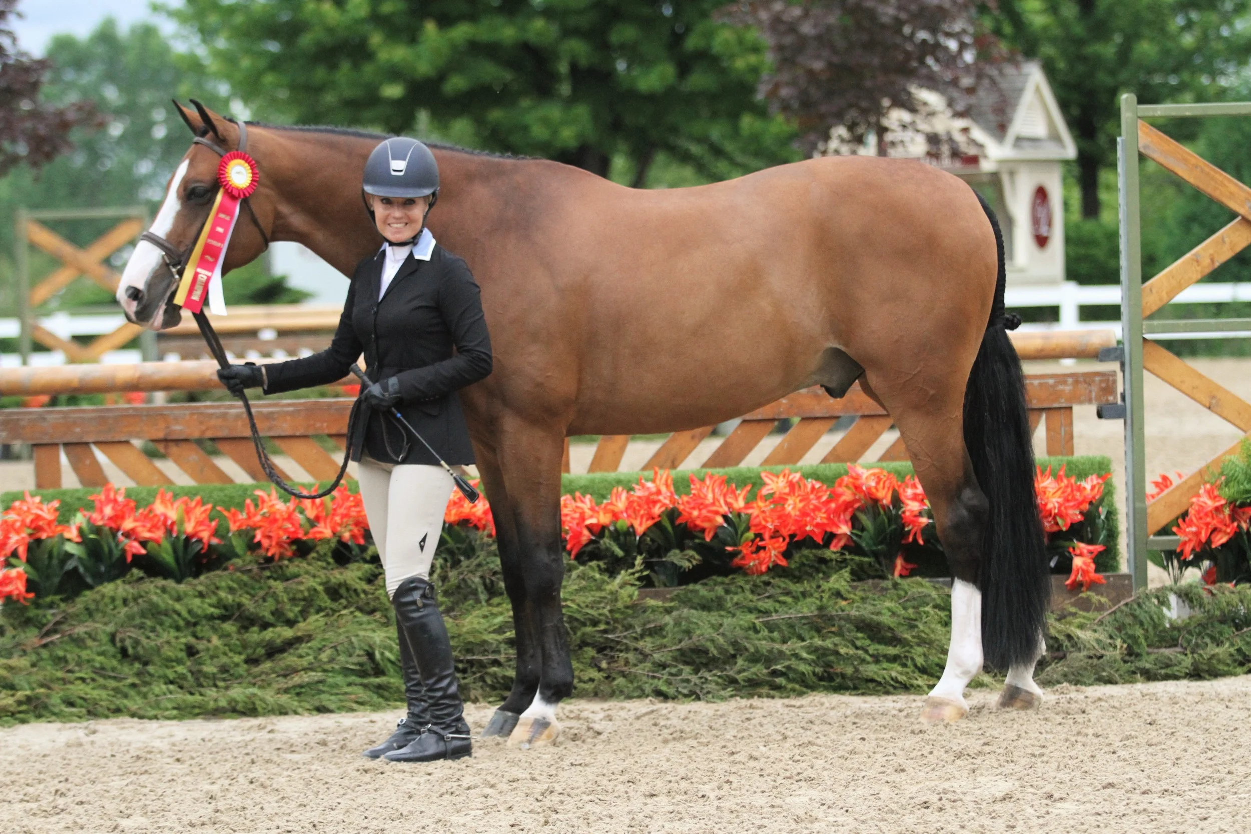 Hula Hoop and Jodi Vazquez $2000 Green/Regular Conformation Division Reserve Hula Hoop, owned by Elizabeth Corey and ridden by Jodi Vazquez, was reserve in the Green/Regular Conformation division.