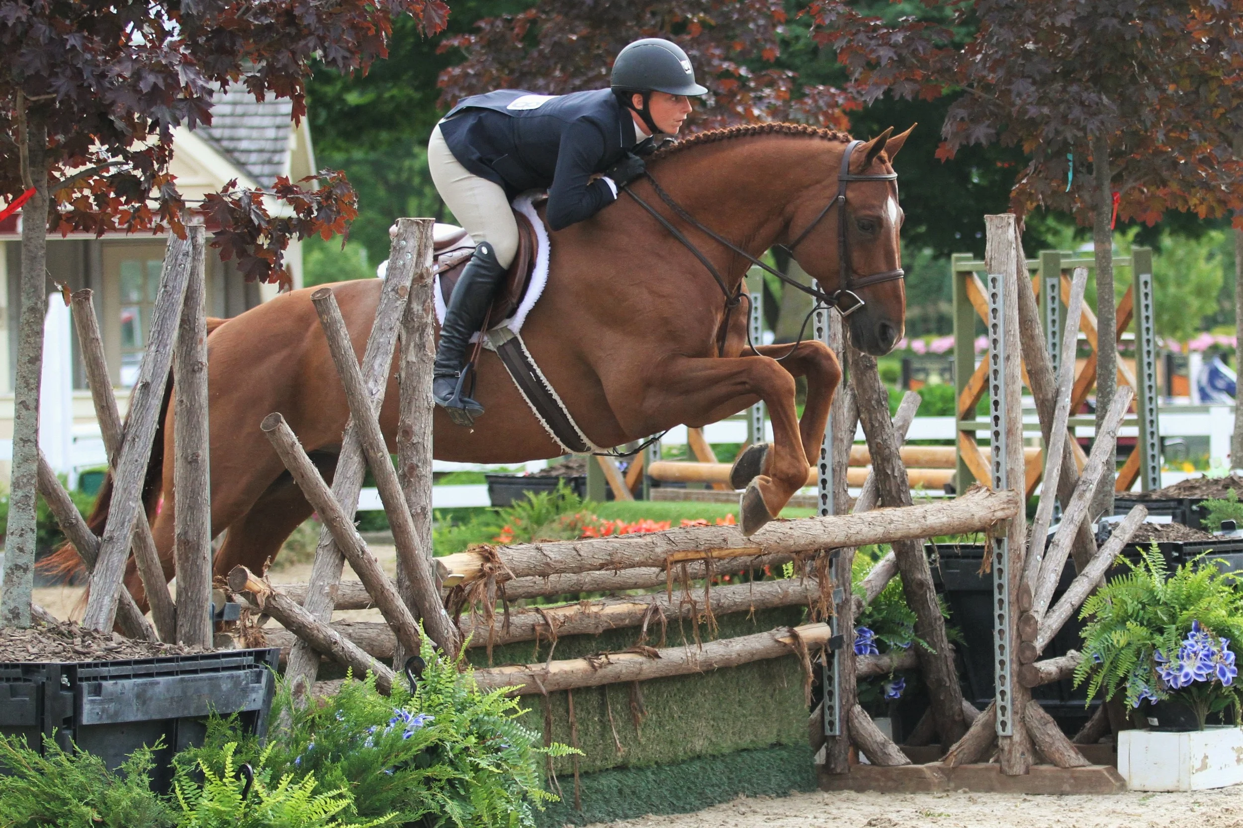 Dream On and Sarah Young Performance Working Hunter 3’3” Division Champion Dream On, owned by Caroline Roethlisberger and ridden by Sarah Young, took the Performance Working Hunter 3’3” division. Young also rode the reserve horse, Peroni, owned by Elizabeth Woods.