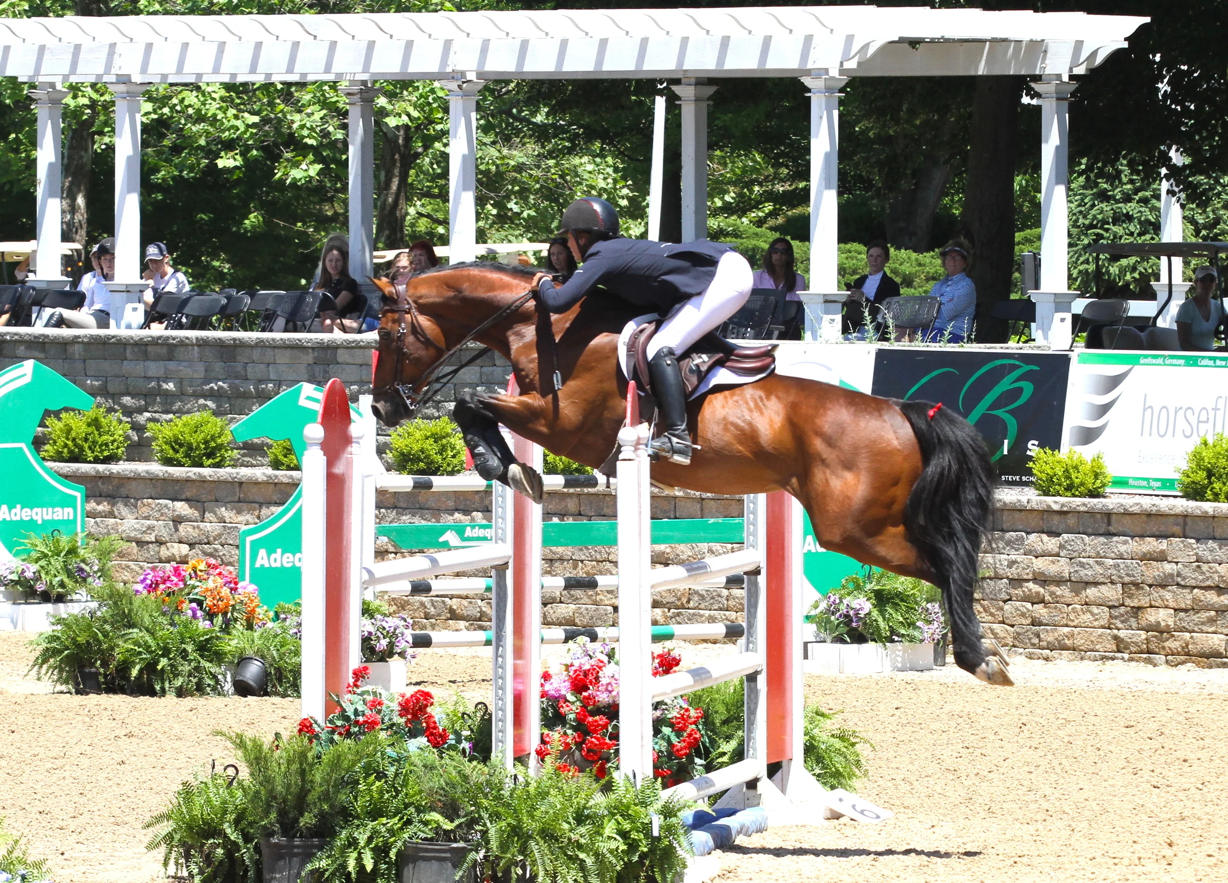 Lisa Goldman and Sovereign