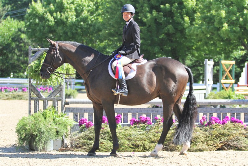 Elizabeth Nestor and Covert Equitation 12-14 Elizabeth Nestor, owner and rider of Covert, was named the Equitation 12-14 division champion.