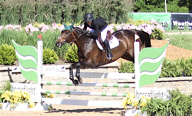 Opera, owned and ridden by Charlotte Novy $2,500 Low Children Jumper Classic