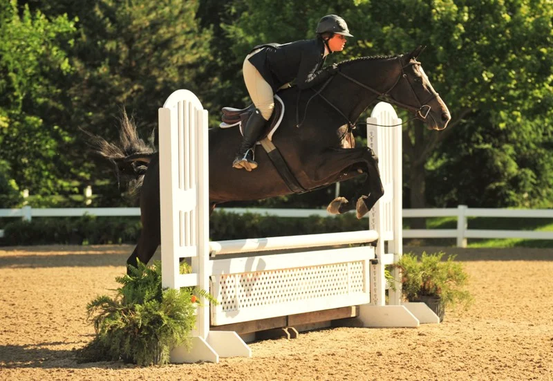 Talan and Meg Gehron – Photo by Andrew Ryback Photography Amateur Adult Hunter 18-35 Division Champion Talan and his owner/rider Meg Gehron bested the Amateur Adult Hunter 18-35 division.