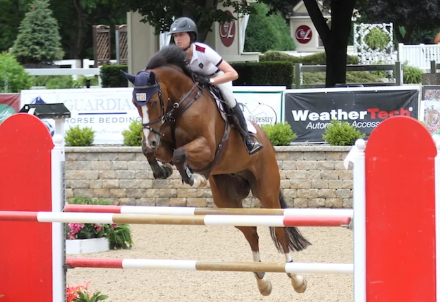 Diego, owned by Apex Equestrian, and Marissa Degner Young Jumper 7 Year Old