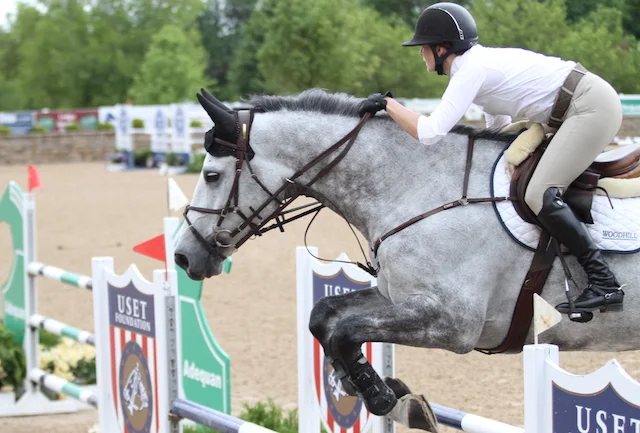 VDL Endorado Ryal K, owned by Seale Horses LLC, and Amanda Seale Young Jumper 7 Year Old