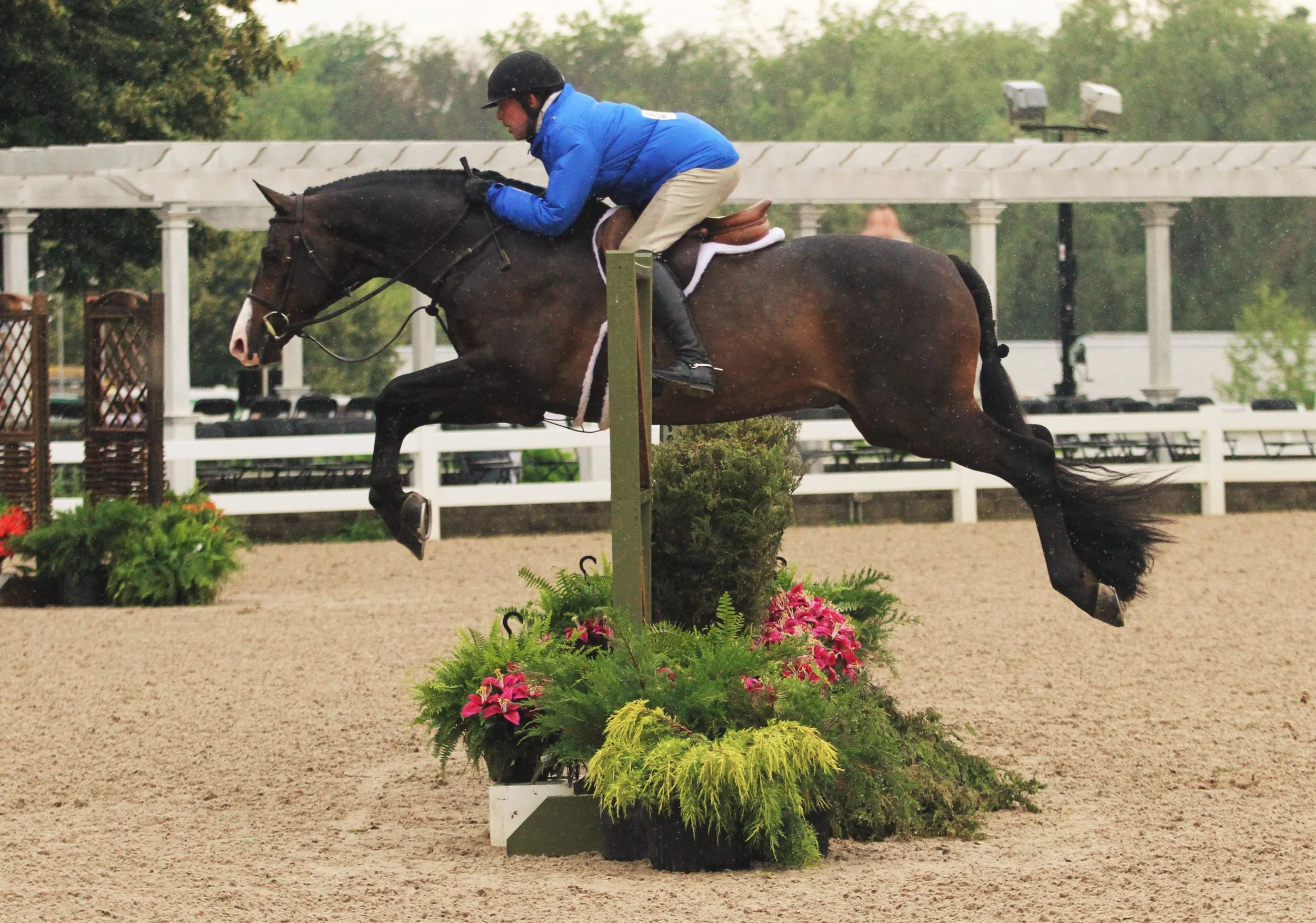 Calido's Son and Douglas Boyd Performance Working Hunter 3’6 Continuing a successful campaign, another championship looks promising for Calido’s Son and rider Douglas Boyd. Calido’s Son, owned by Mimi Rothman, finished first in the over fences round and second in handy in the Performance Working Hunter 3’6” division. The duo have two division championships under their belt from weeks one and two of the Showplace Productions Spring Spectacular.