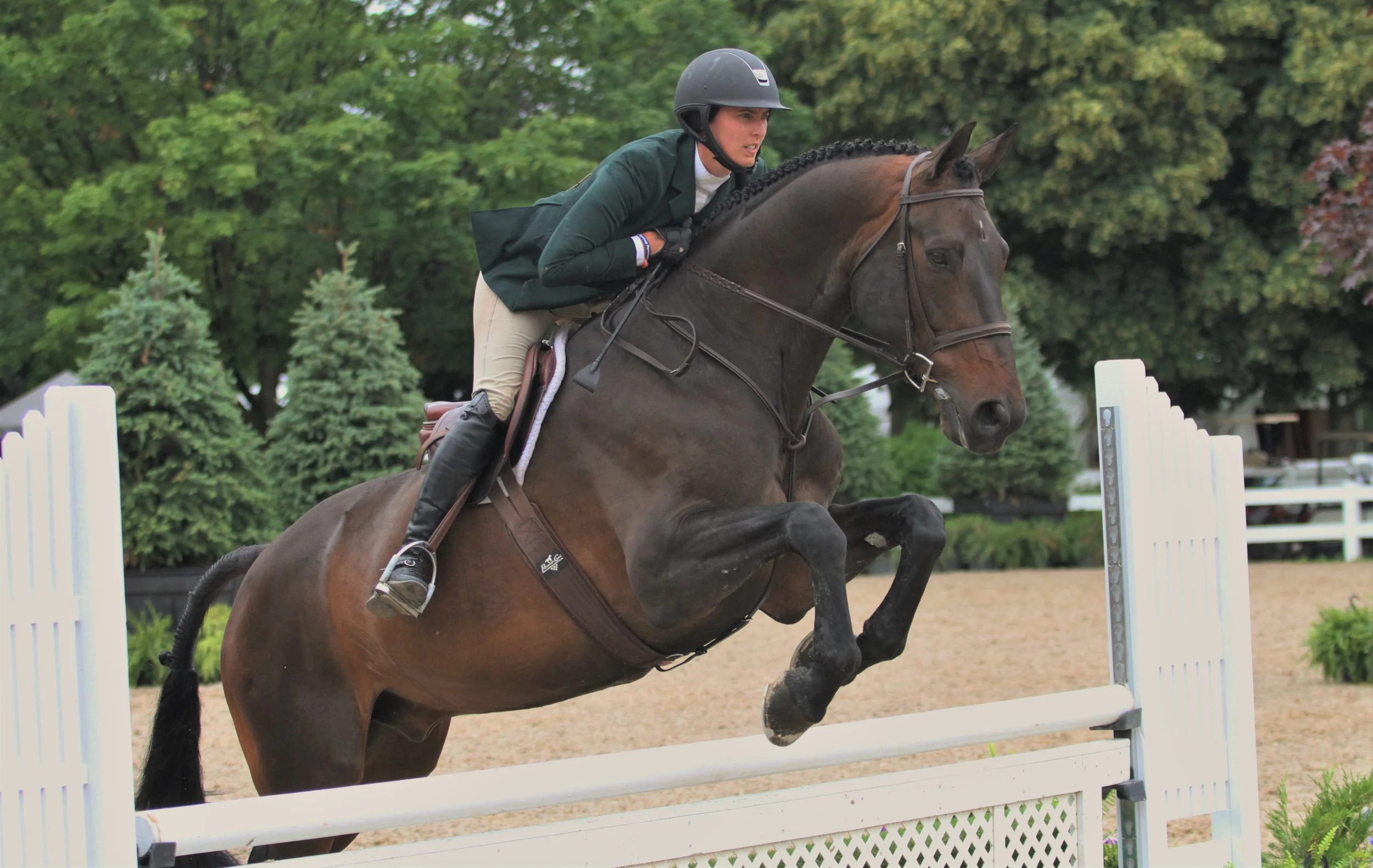 Denali and Molly McAdow Performance Working Hunter 3’3 Placing first in both rounds of the Performance Working Hunter 3’3” division, Denali is off to a great start. “He’s wonderful and great,” rider Molly McAdow said of the horse owned by Audrey Downs. “He’s a really good, reliable, nice horse. Every day is exactly the same. He never spooks at anything, he canters down the line, he jumps the second jump, he changes his lead, he turns the corner. He has a really nice stride and rhythm to his canter. The jumps are super easy for him. For being a big horse, you wouldn’t think that he’s very handy, but he’s very soft and smooth through the turns, he’s a very, very nice horse.”